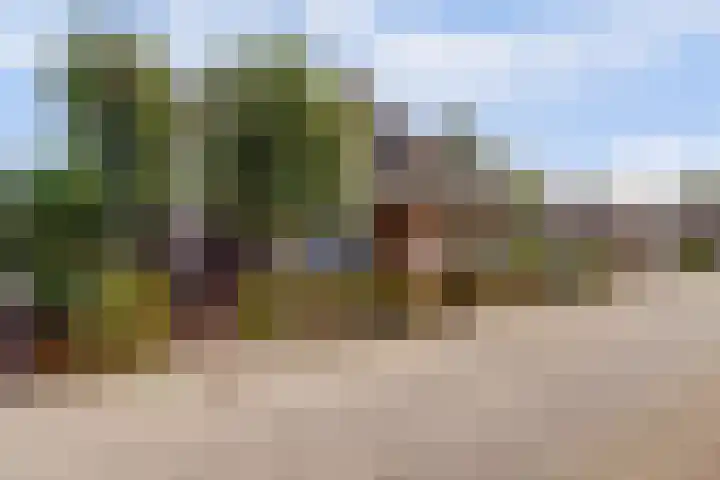 Oude Zeedijk 1 b Dussen thumbnail 51