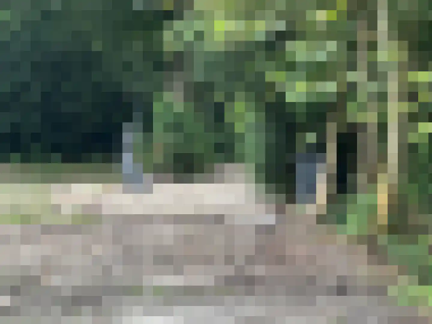 Oude Zuiderweg 5 Leek thumbnail 4