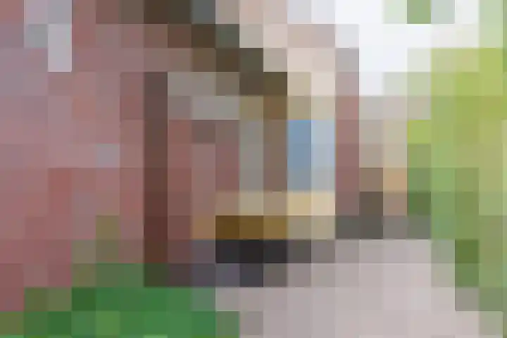 Oudebaan 4 Milsbeek thumbnail 36