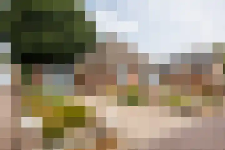 Oudebaan 4 Milsbeek thumbnail 37