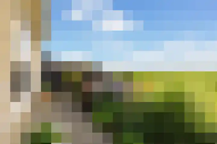 Oudebildtdijk 1176 Westhoek thumbnail 40