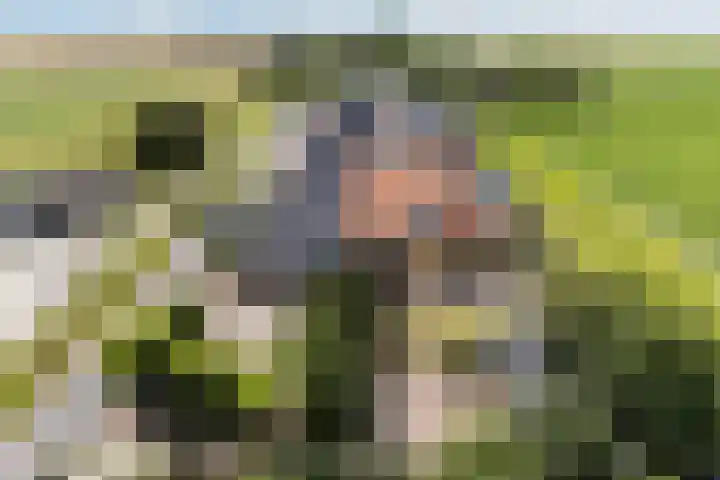 Oudebildtdijk 1176 Westhoek thumbnail 52