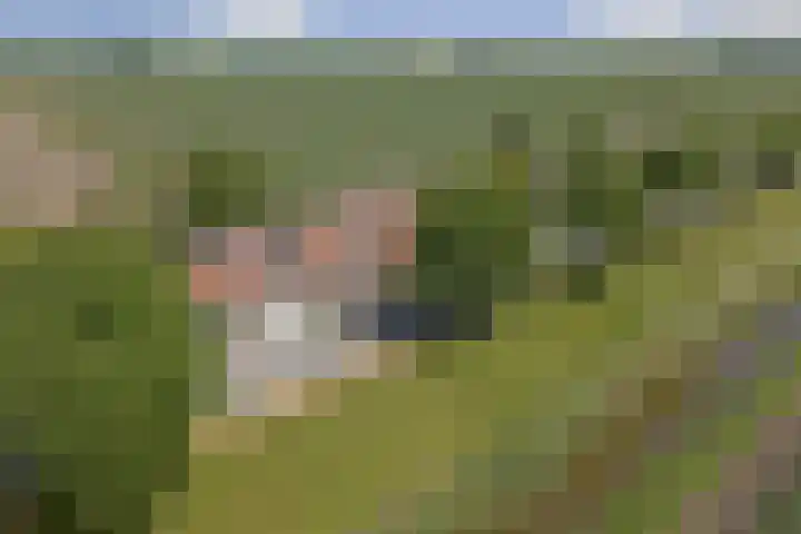 Oudebildtdijk 300 St.-Annaparochie thumbnail 46