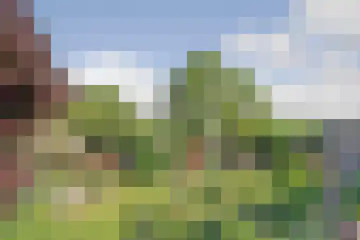 Oudebildtdijk 300 St.-Annaparochie thumbnail 5