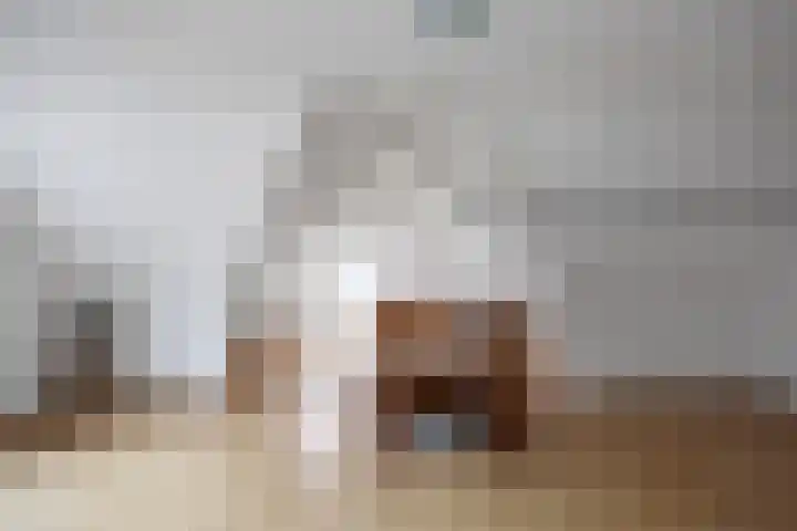 Oudebildtdijk 662 St.-Jacobiparochie thumbnail 40