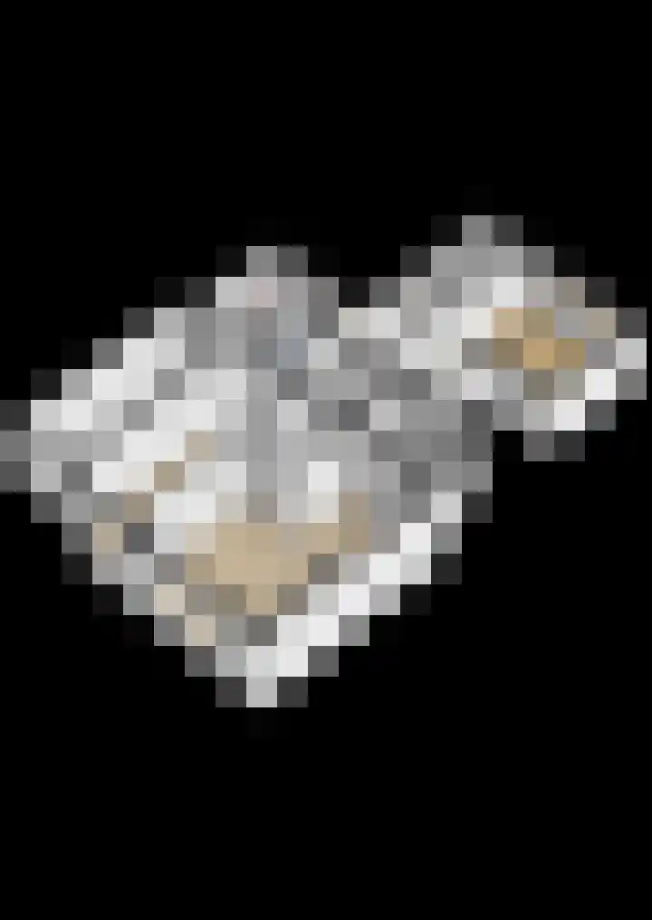 Oudebildtdijk 662 St.-Jacobiparochie thumbnail 69