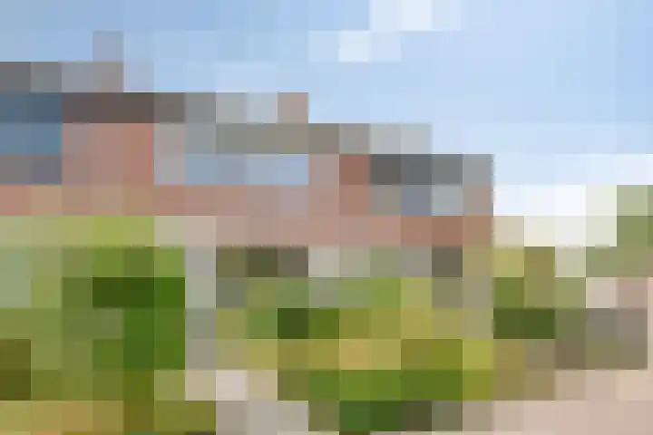 Oudeborgstraat 13 Herten thumbnail 27