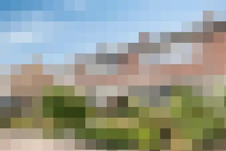 Oudeborgstraat 13 Herten thumbnail 28