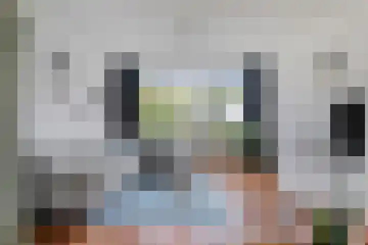 Oudeborgstraat 13 Herten thumbnail 8