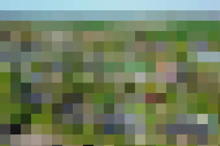 Oudedijk 1 h27 Schagen thumbnail 28