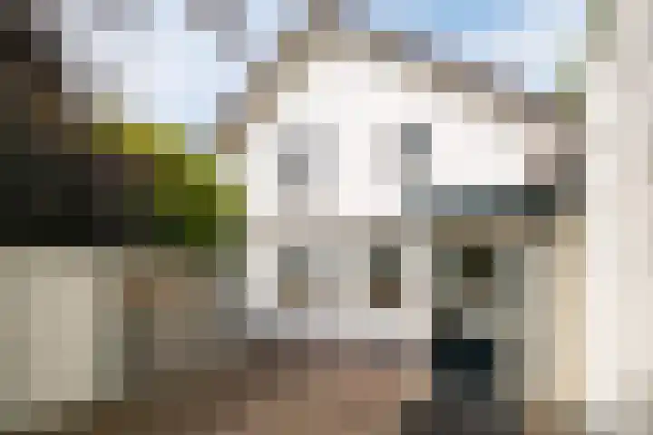 Oudedijk 19 Uddel thumbnail 12