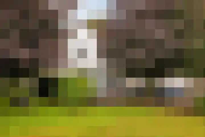 Oudedijk 19 Uddel thumbnail 13