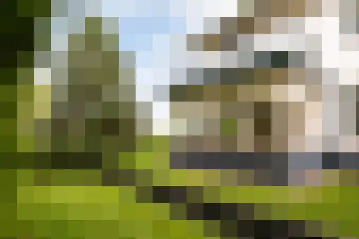 Oudedijk 19 Uddel thumbnail 14