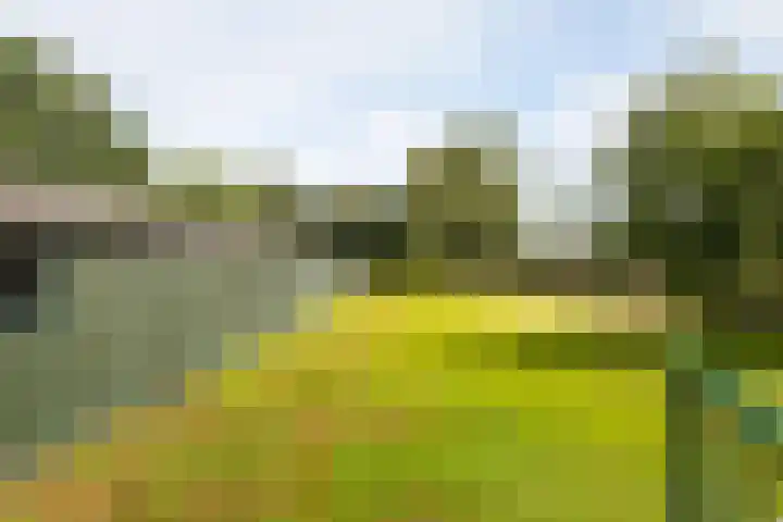 Oudedijk 19 Uddel thumbnail 17