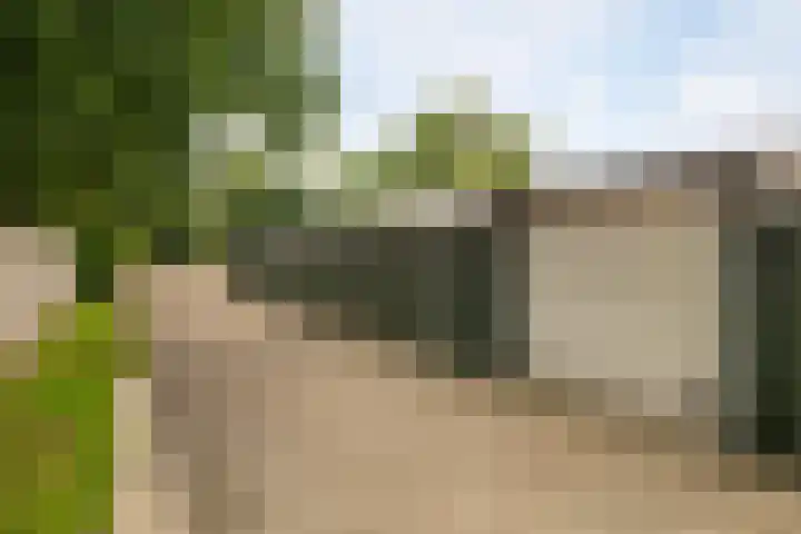 Oudedijk 19 Uddel thumbnail 18
