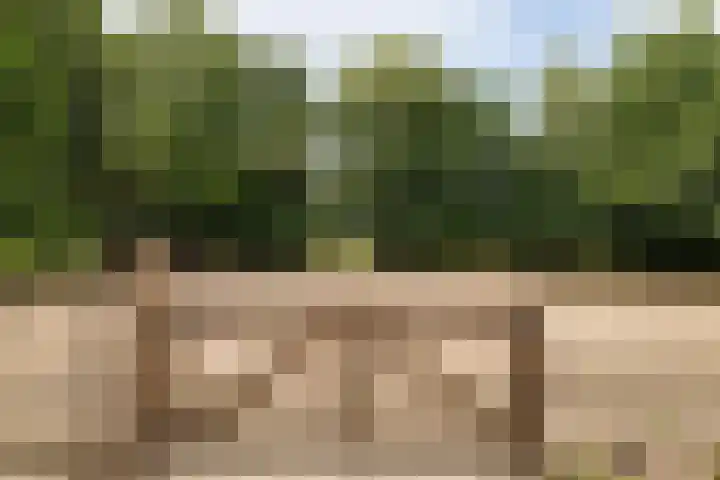 Oudedijk 19 Uddel thumbnail 19
