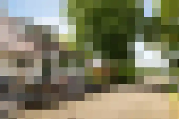 Oudedijk 19 Uddel thumbnail 21