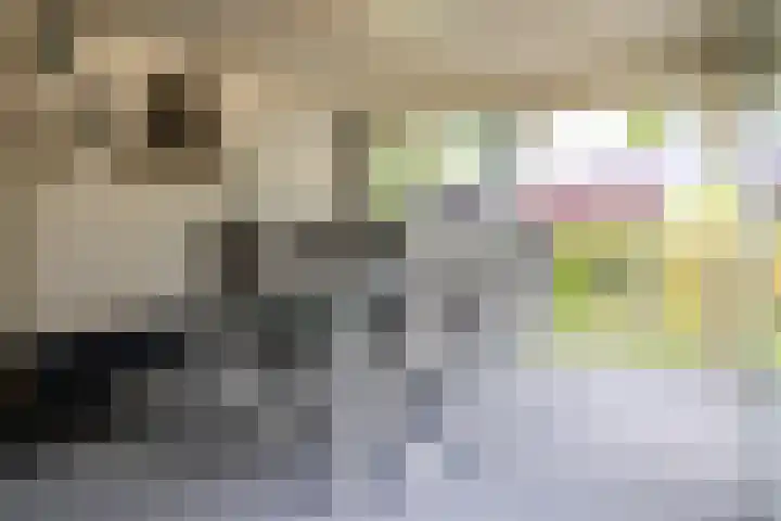 Oudedijk 19 Uddel thumbnail 22