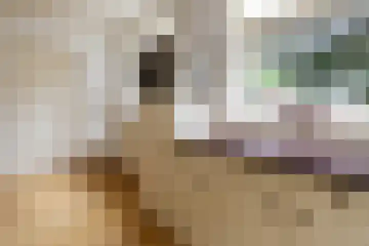 Oudedijk 19 Uddel thumbnail 31