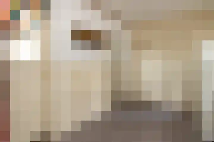 Oudedijk 19 Uddel thumbnail 32