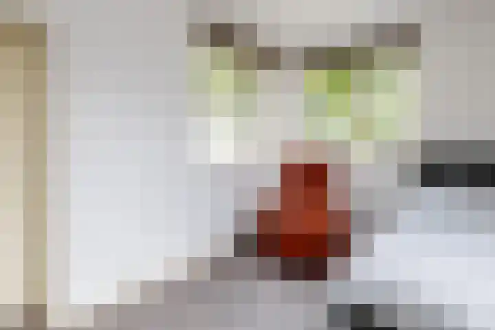 Oudedijk 19 Uddel thumbnail 34