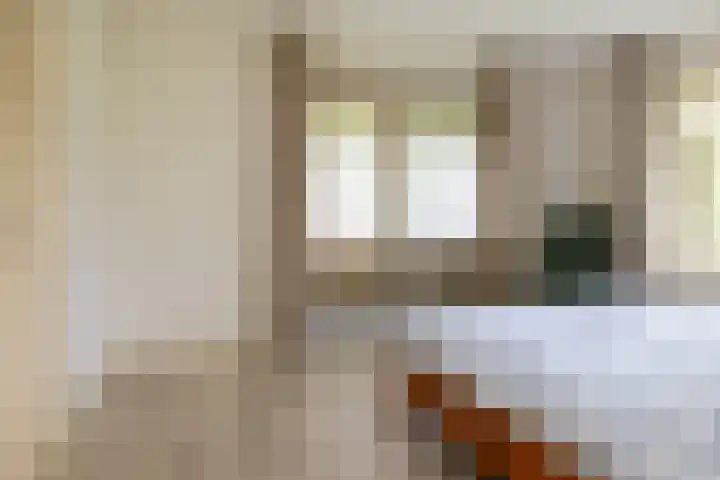 Oudedijk 19 Uddel thumbnail 39