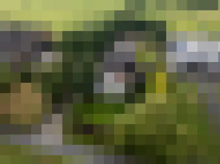 Oudedijk 19 Uddel thumbnail 4