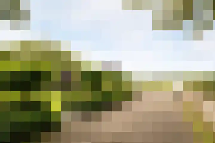 Oudedijk 19 Uddel thumbnail 6
