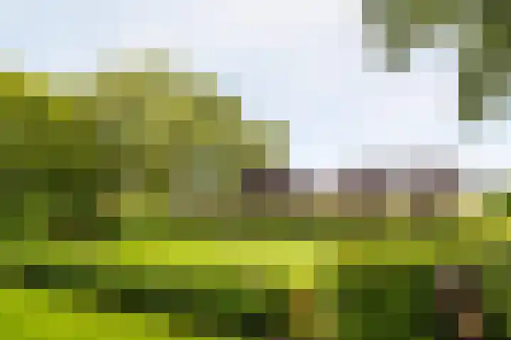 Oudedijk 19 Uddel thumbnail 7