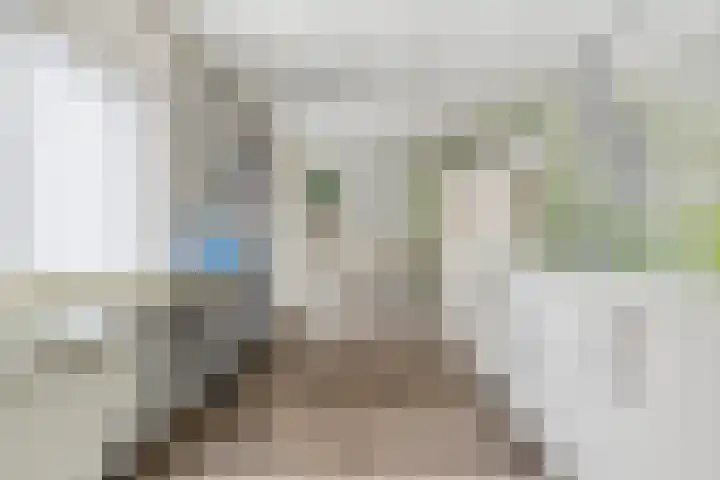 Oudedijk 64 Odiliapeel thumbnail 10
