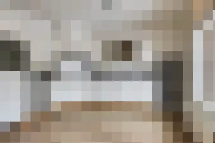 Oudedijk 64 Odiliapeel thumbnail 7