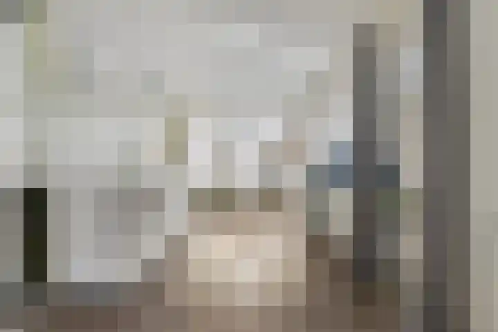 Oudedijk 64 Odiliapeel thumbnail 9