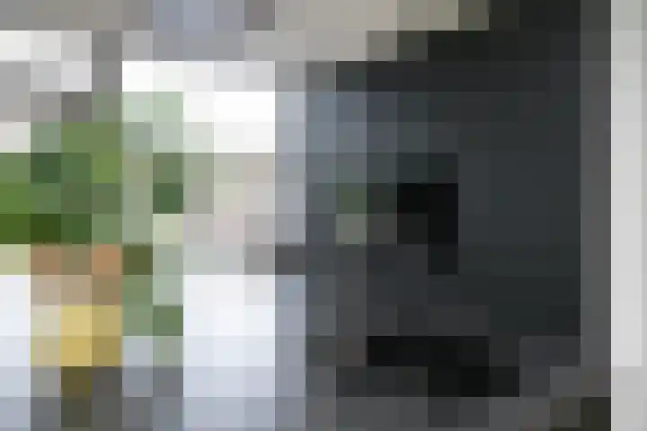 Oudedijkse Schiekade 45 Rotterdam thumbnail 13