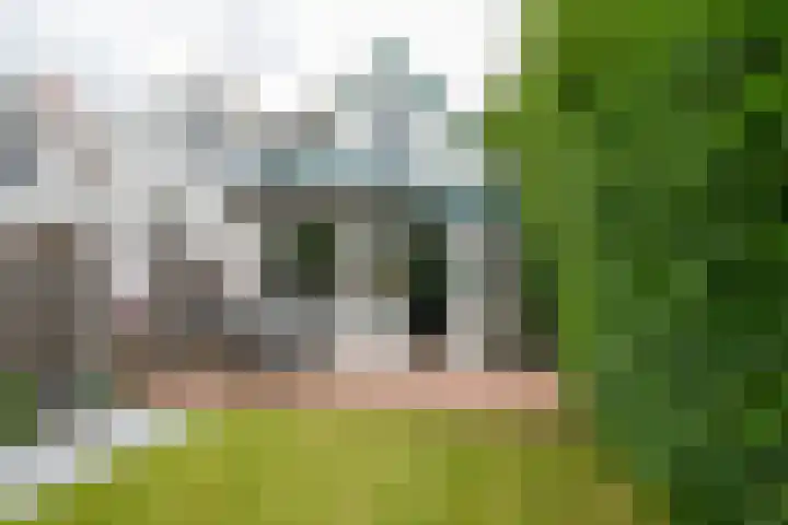 Oudedijkse Schiekade 45 Rotterdam thumbnail 17