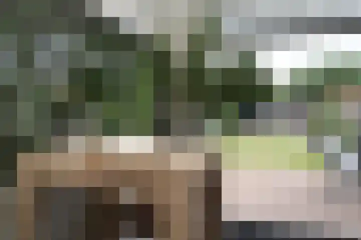 Oudedijkse Schiekade 45 Rotterdam thumbnail 4