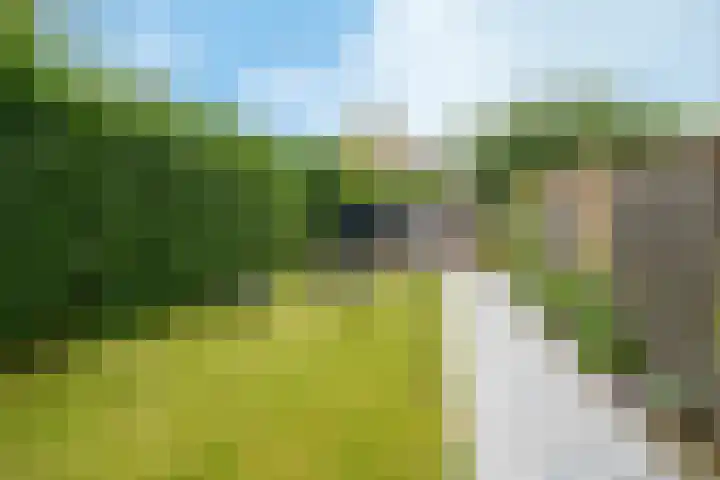 Oudedijkse Schiekade 45 Rotterdam thumbnail 5