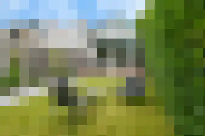 Oudedijkse Schiekade 45 Rotterdam thumbnail 6