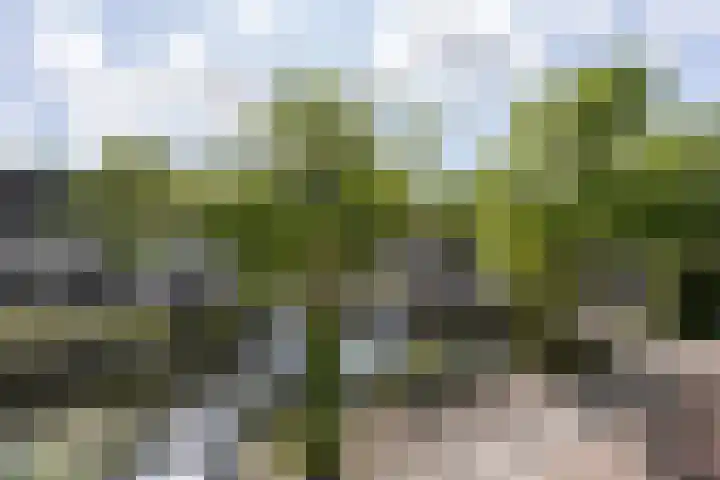 Oudegracht 101 Weesp thumbnail 7
