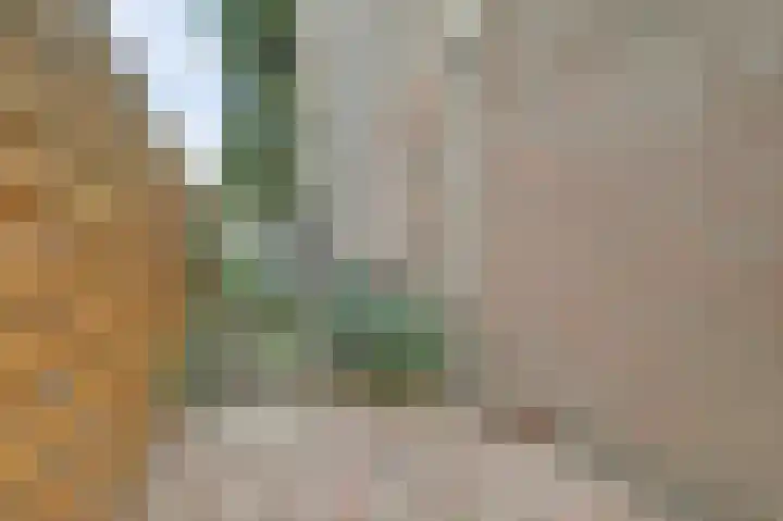 Oudelaan 2107 Wijchen thumbnail 38