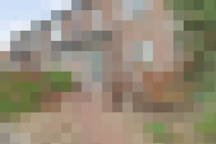Oudelaan 2107 Wijchen thumbnail 48
