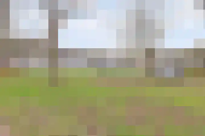 Oudelaan 2107 Wijchen thumbnail 51