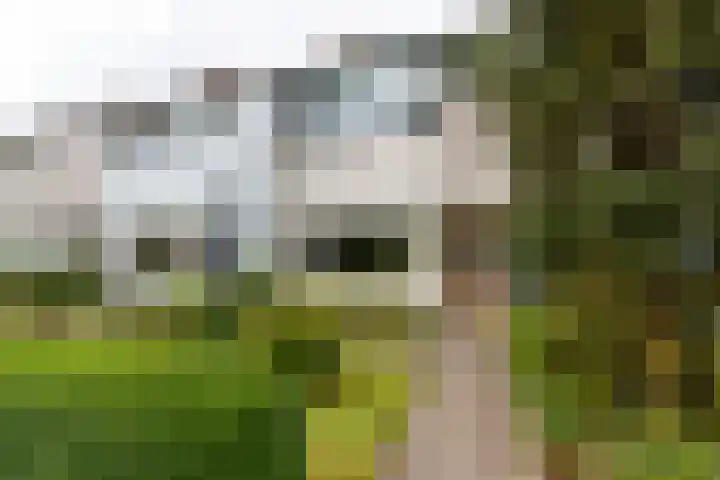 Oudeland 29 Harmelen thumbnail 28