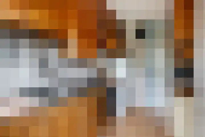 Oudeland 29 Harmelen thumbnail 7