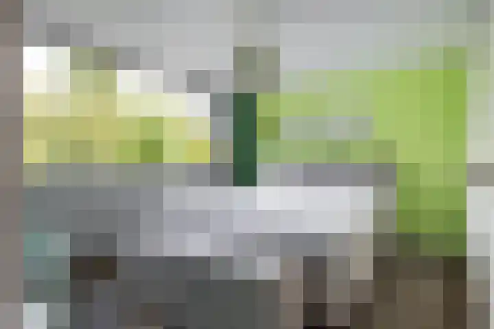 Oudeland 33 Harmelen thumbnail 10