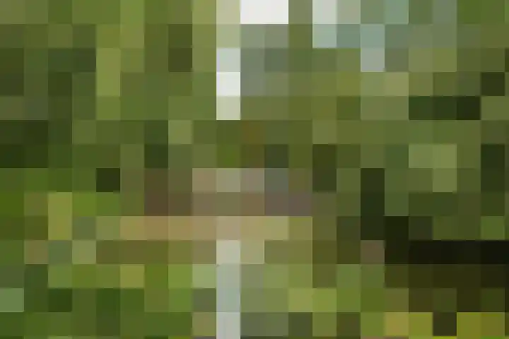 Oudeland 33 Harmelen thumbnail 25