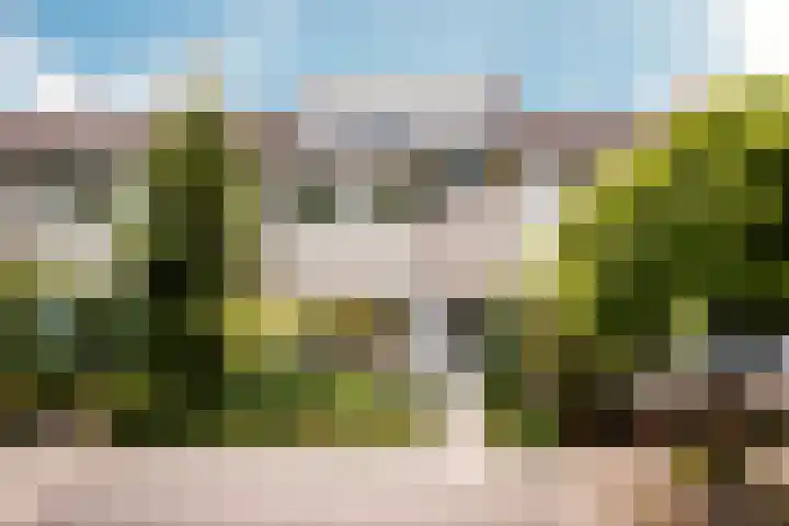 Oudeland 33 Harmelen thumbnail 31