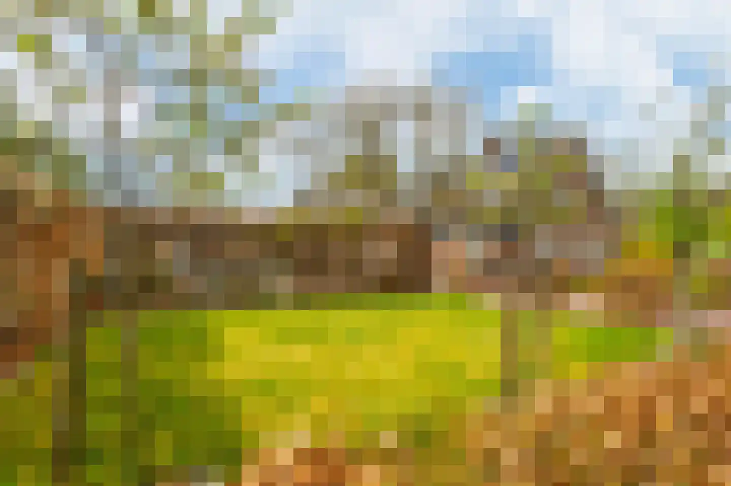 Oudendijk 46 Woudrichem thumbnail 11