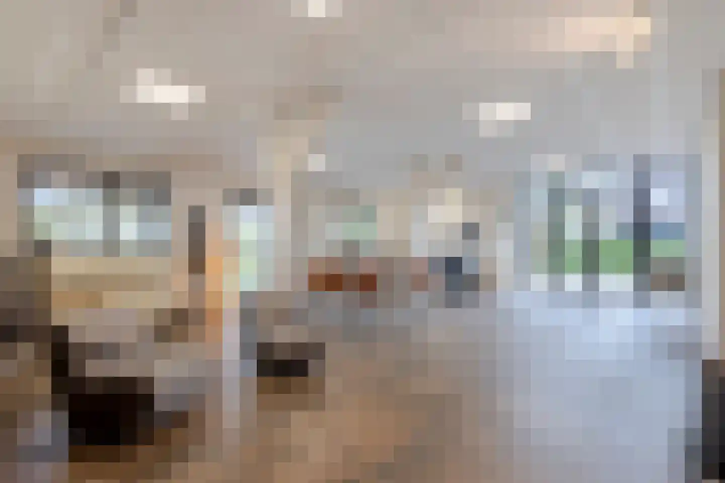 Oudendijk 46 Woudrichem thumbnail 36