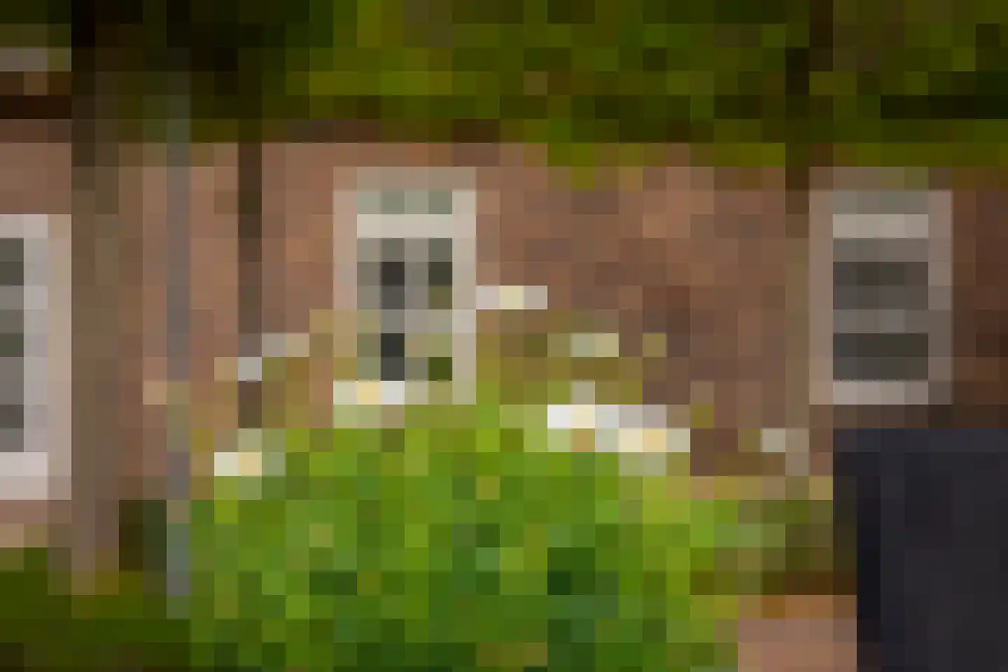 Oudendijk 46 Woudrichem thumbnail 65