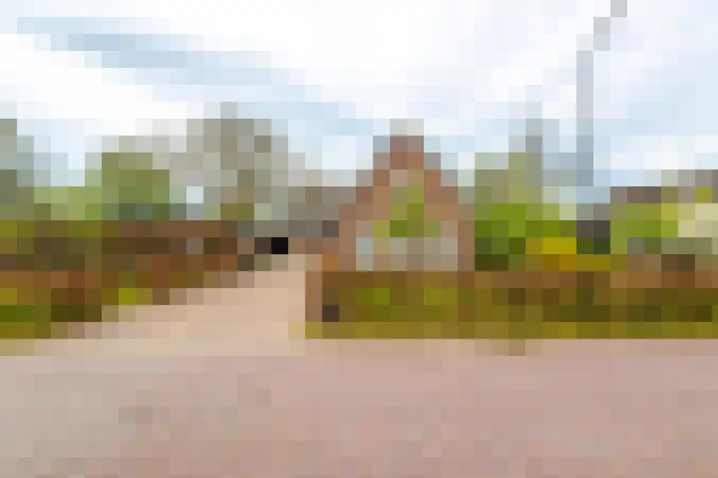 Oudendijk 46 Woudrichem thumbnail 7